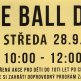 BEE BALL DAY